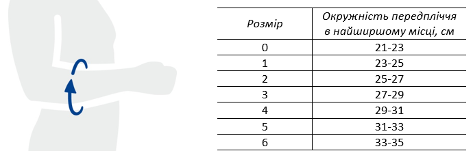 Розмірна сітка