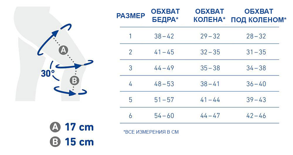 Размерная сетка