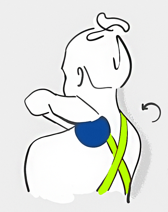 Твердий масажний м’ячик: користь, застосування та техніка самомасажу